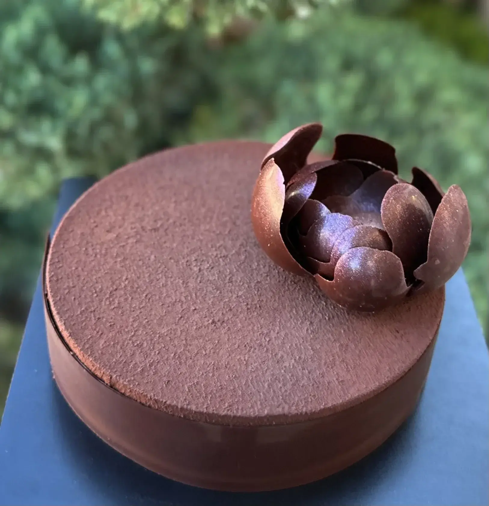 Milk Chocolate & Exotic Fruits Cake