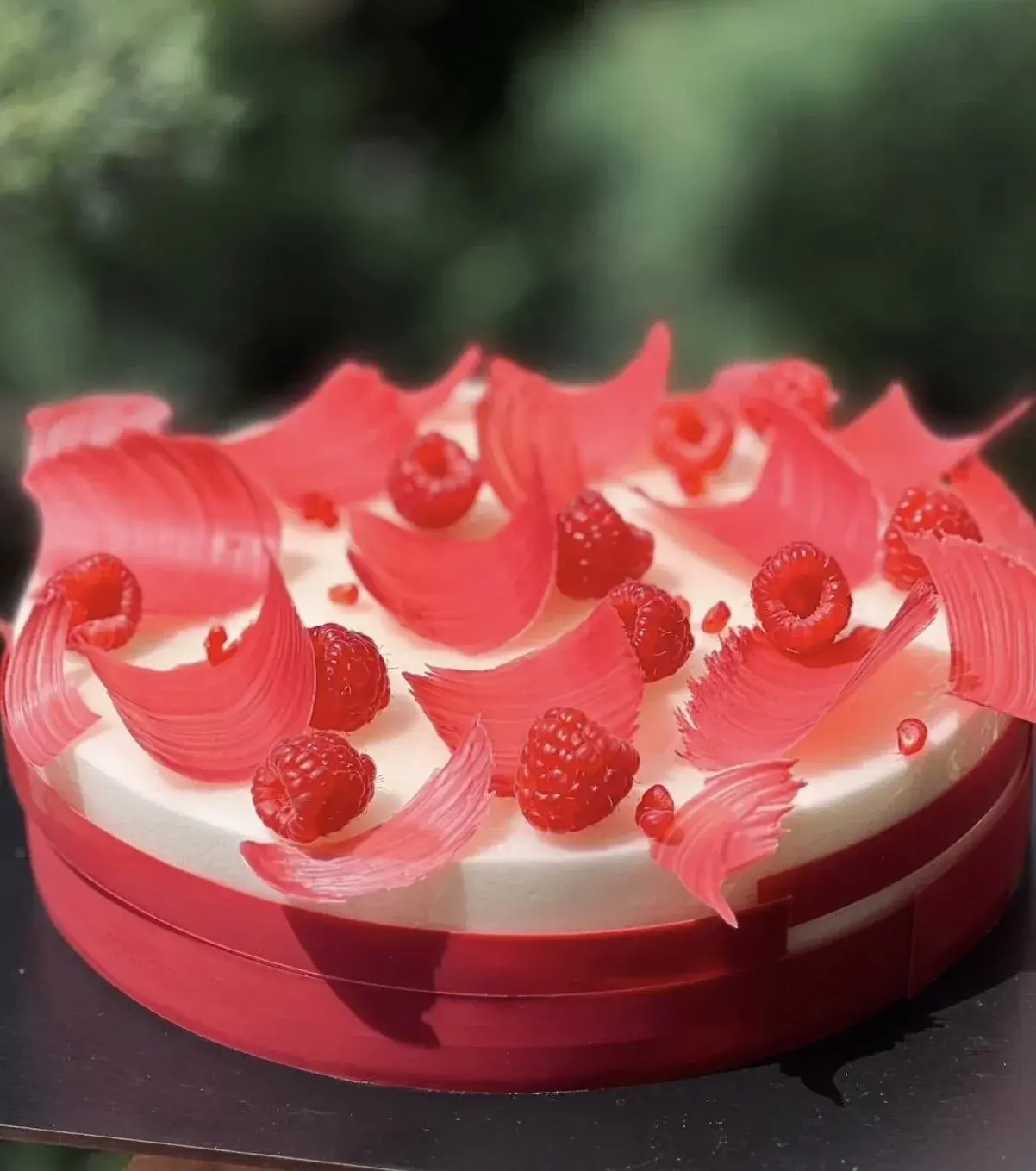 Raspberry-Mascarpone Cake